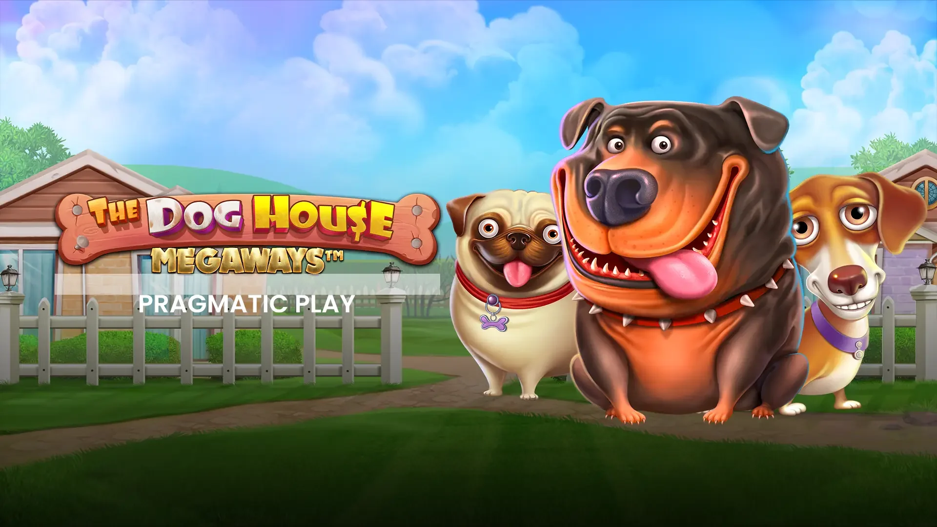 Tht Dog house. Megaways